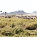 TZA SHI SerengetiNP 2016DEC25 MbalagetiRiver 002 : 2016, 2016 - African Adventures, Africa, Date, December, Eastern, Mbalageti River, Month, Places, Serengeti National Park, Shinyanga, Tanzania, Trips, Year